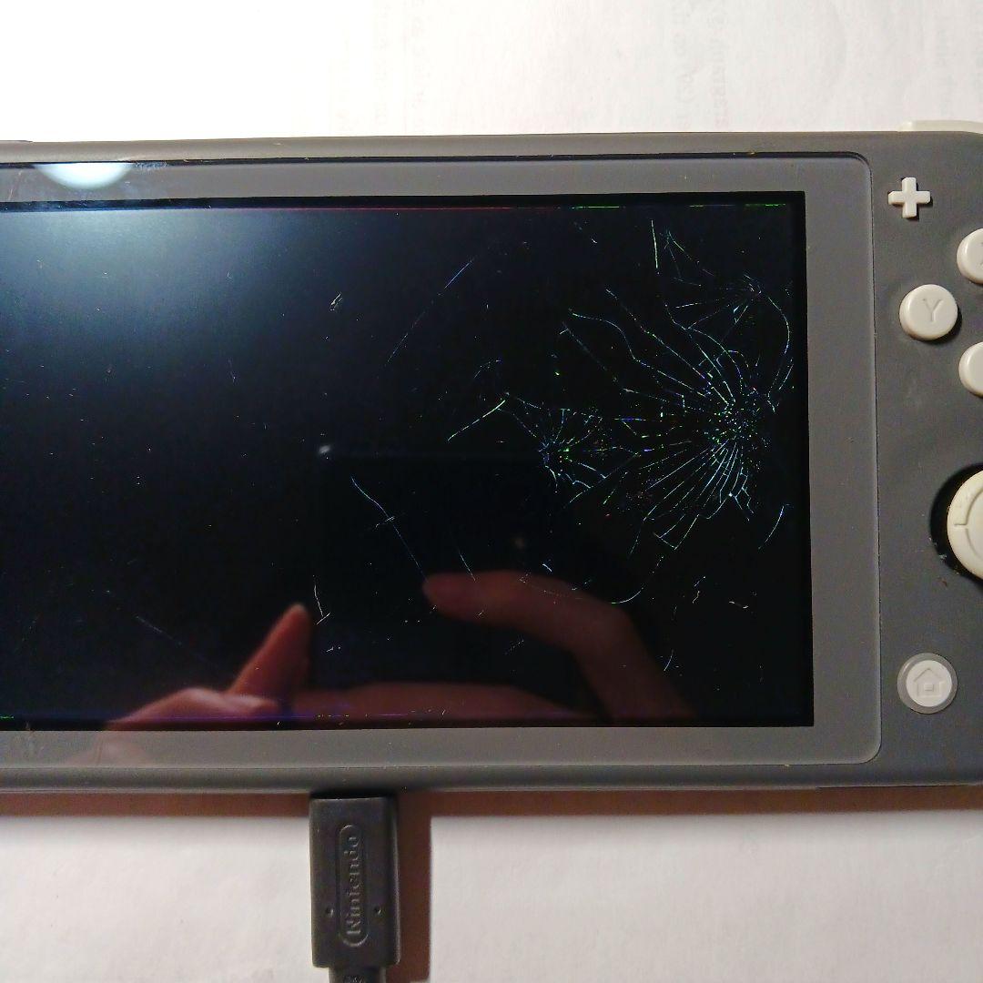 Nintendo Switch Lite (ジャンク)(お値下げ可)