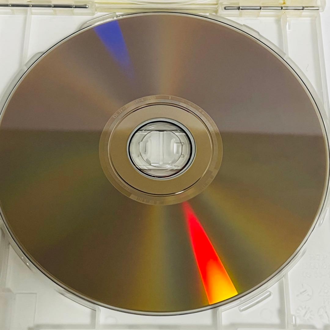 ザ・フォール 落下の王国 DVD レンタルアップ 洋画