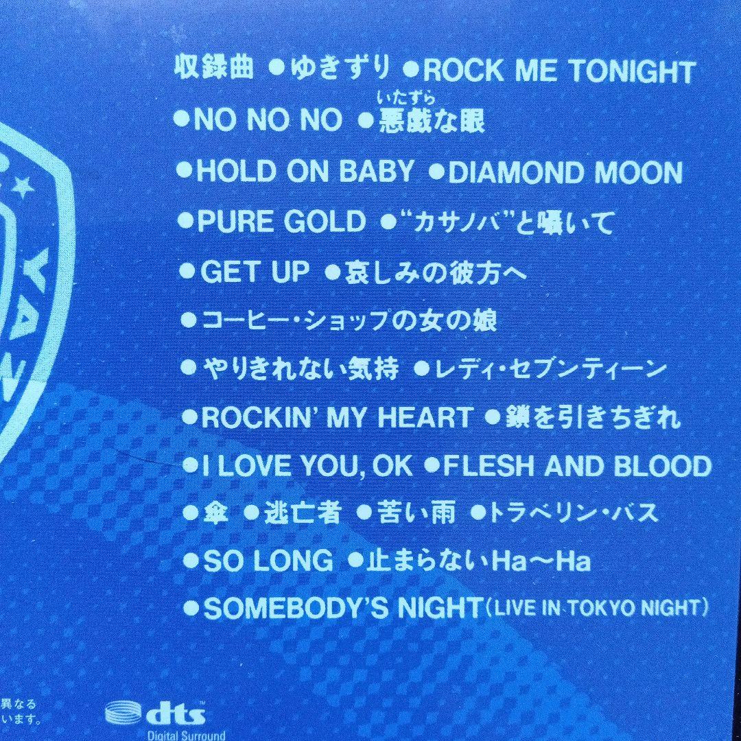 のぼさん矢沢永吉 DVD Rock'n' Roll Army '90