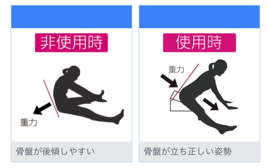 SANTE PLUSサンテプラス flexcushion フレックスクッション