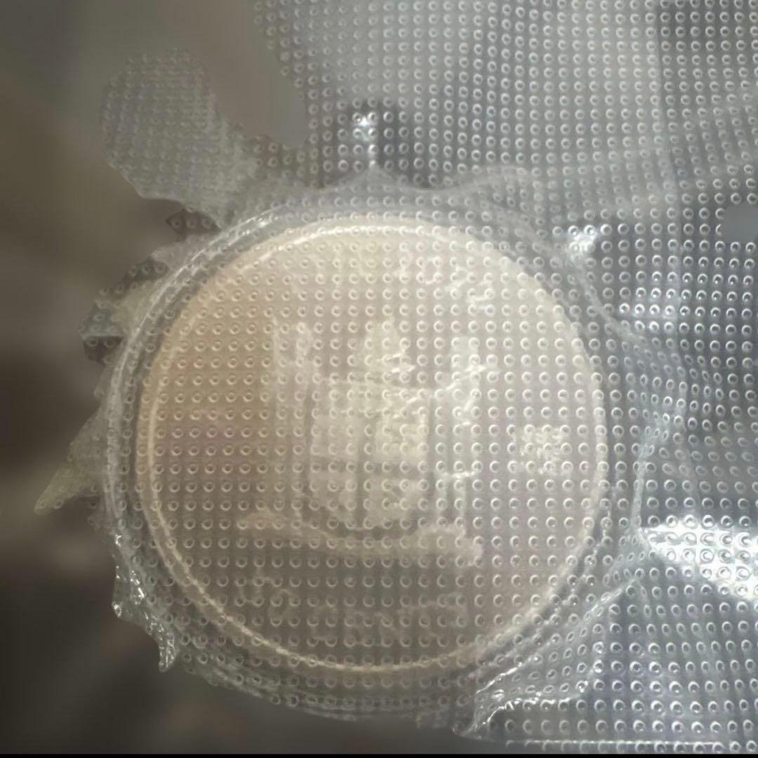 ラスト1点　2022年　フィージー　キャット銀貨　1オンス カプセル付き