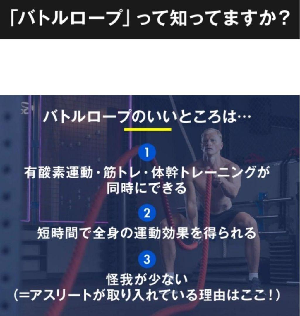 ロープのいらないバトルロープ 全身トレーニングアイテム Z-Rope イエロー