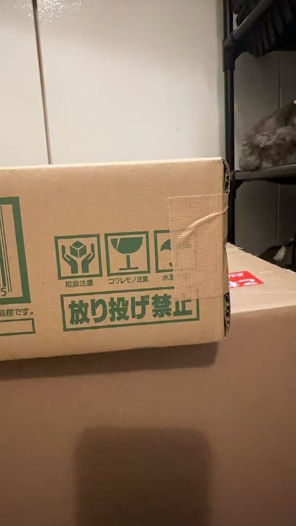 ポケカ VSTARユニバース 未開封カートン 20BOX ハイクラスパック