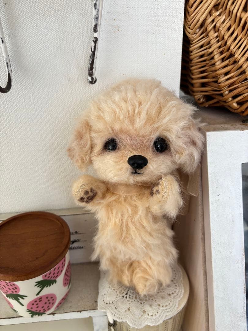 テディプードル　テディわんこ　プードル　マルプー　ぬいぐるみ