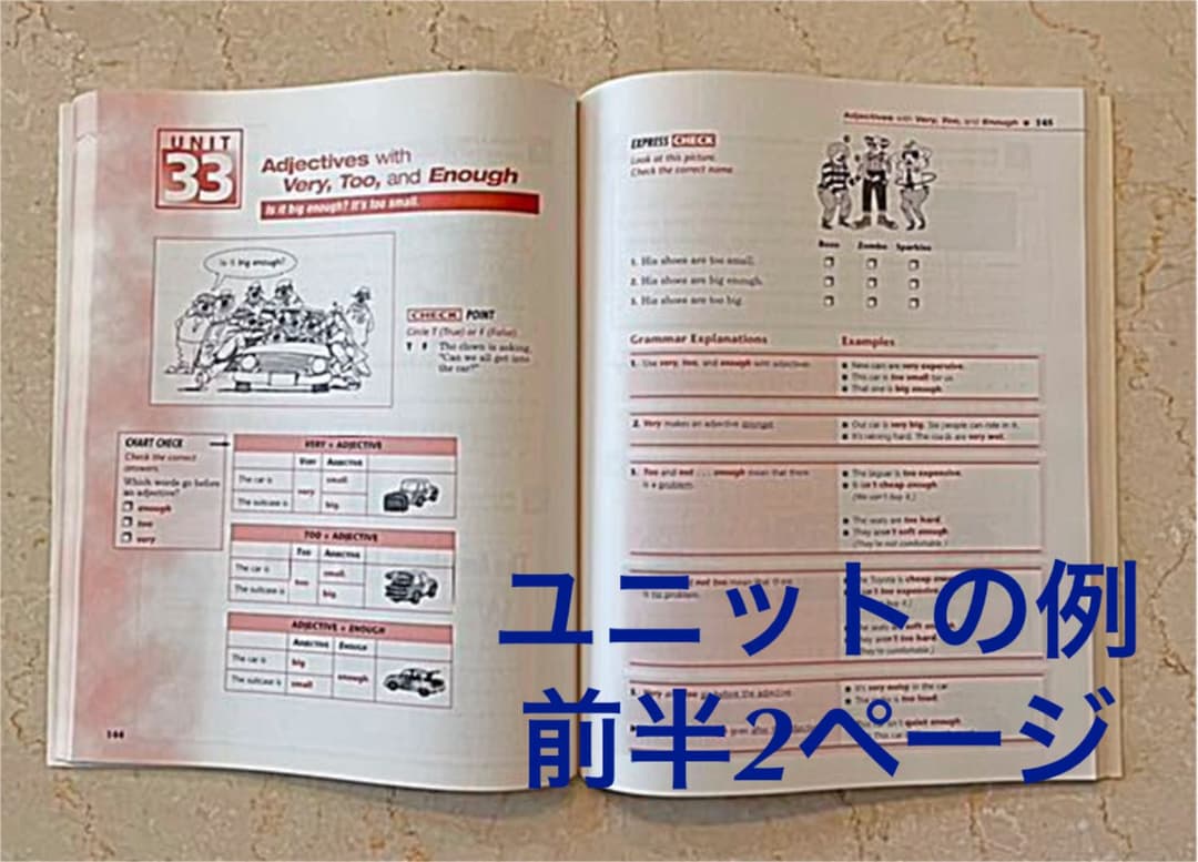洋書 Grammar Express Basic