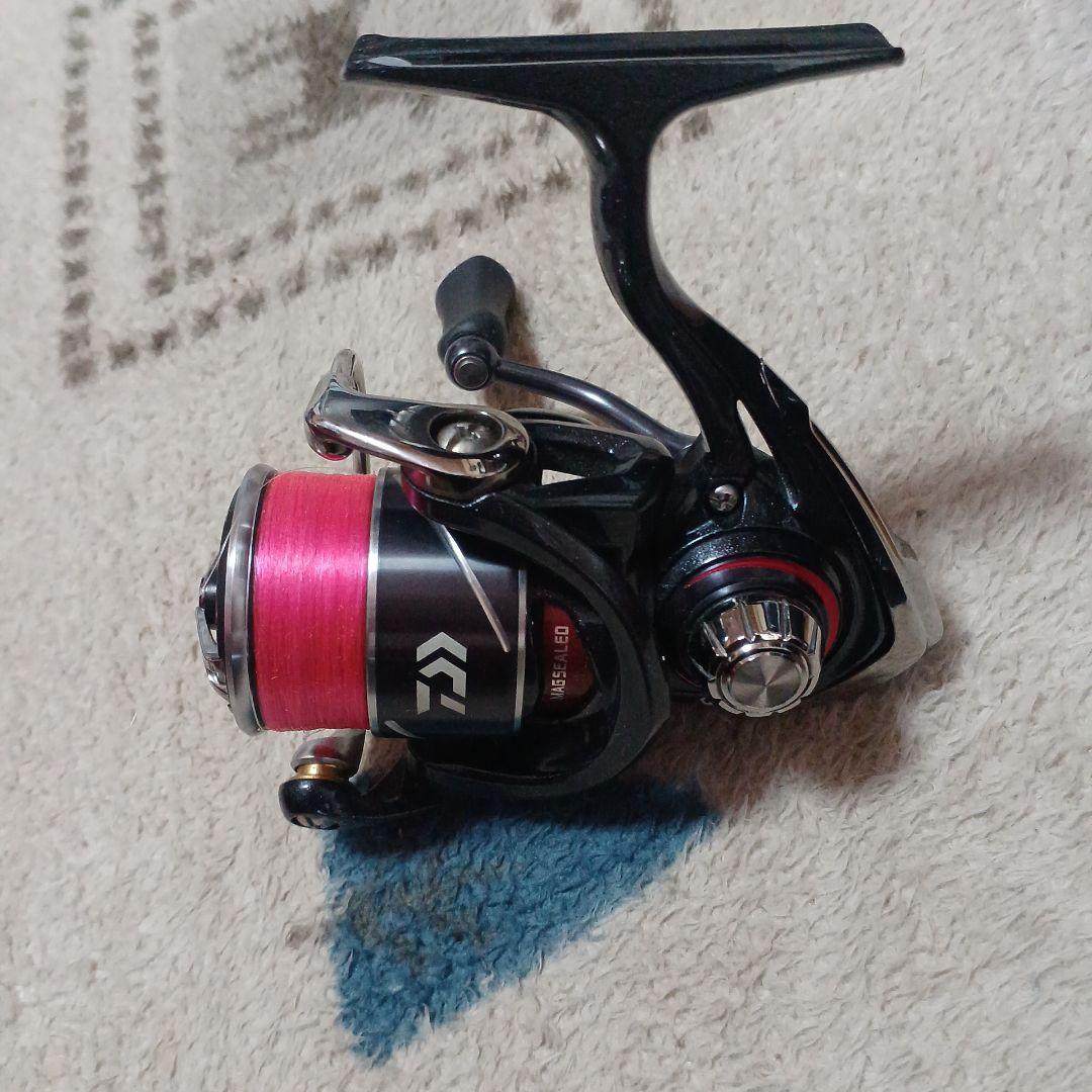 Daiwa 20 月下美人 X LT1000S-P