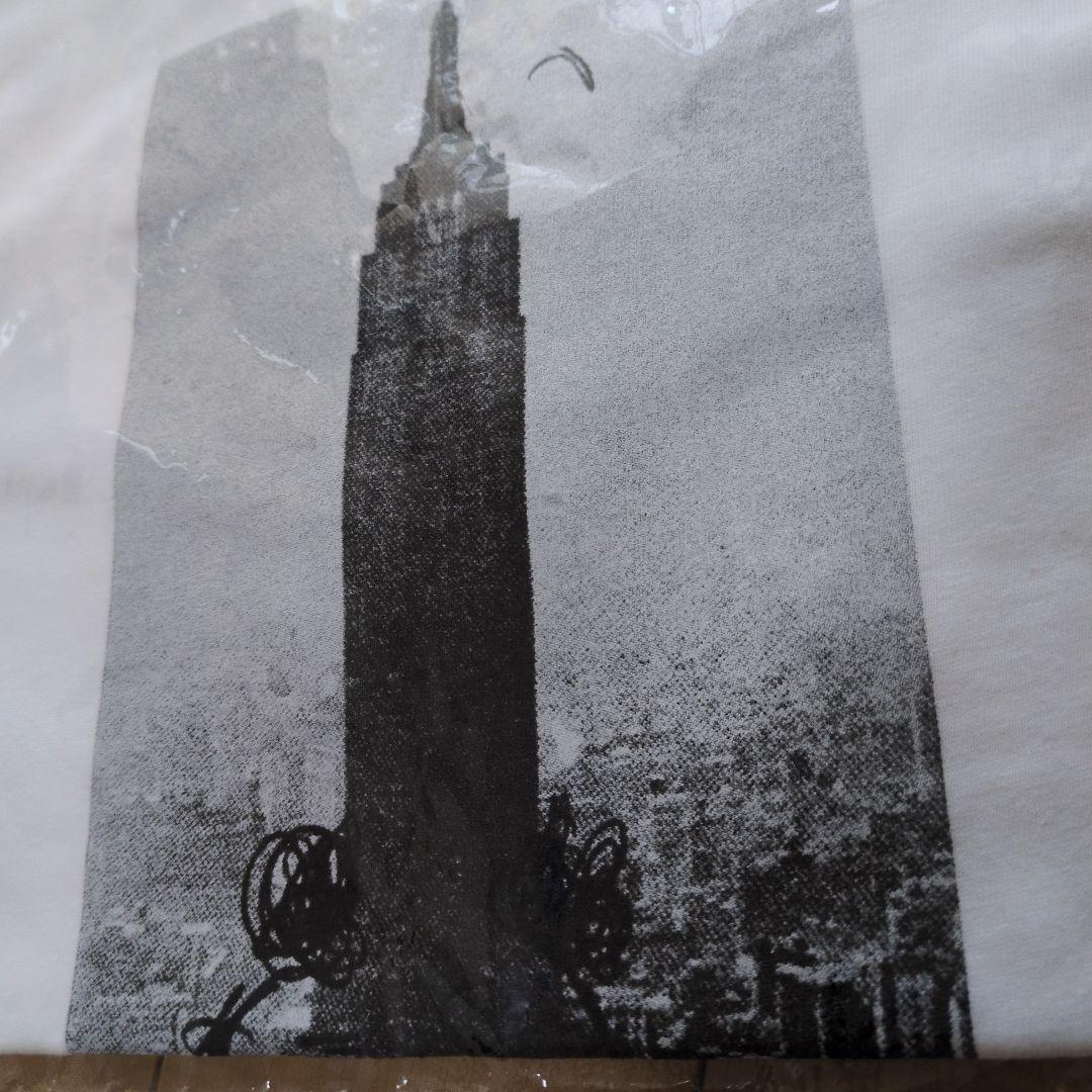 トップス Supreme MikeKeley Empire St Building TEE