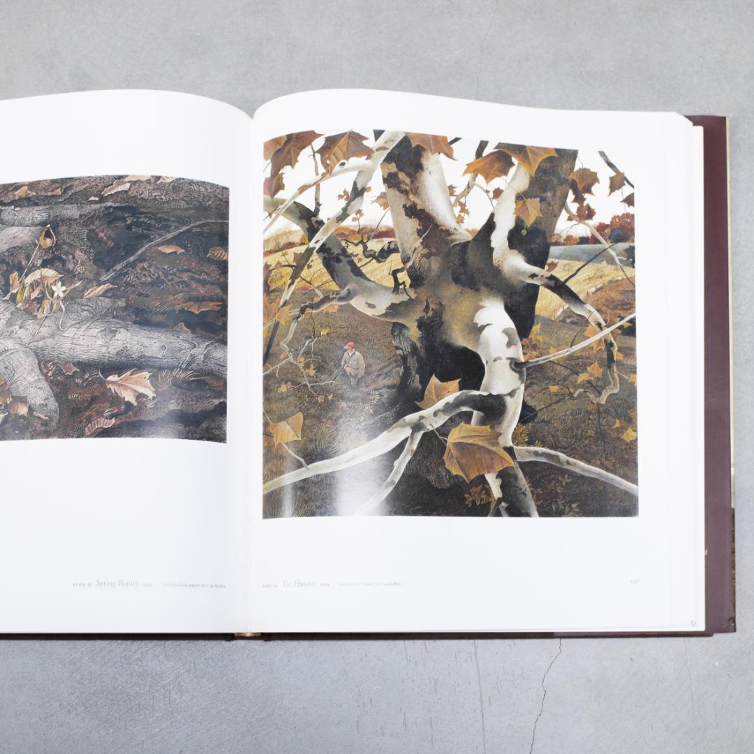 Andrew Wyeth Memory & Magic アンドリュー ワイエス