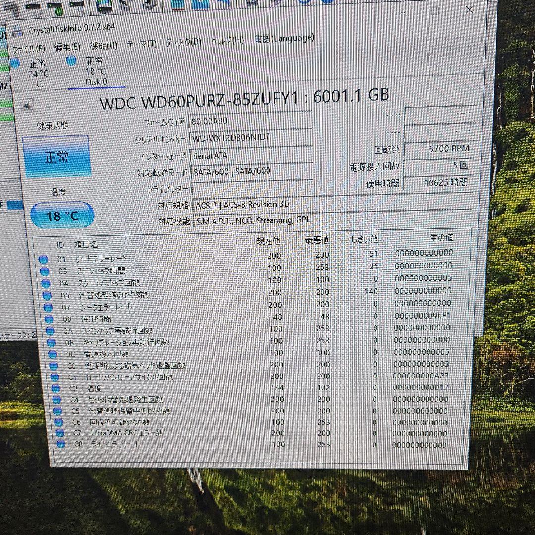 WD Purple 6TB WD60PURZ 監視カメラ用 正常動作品
