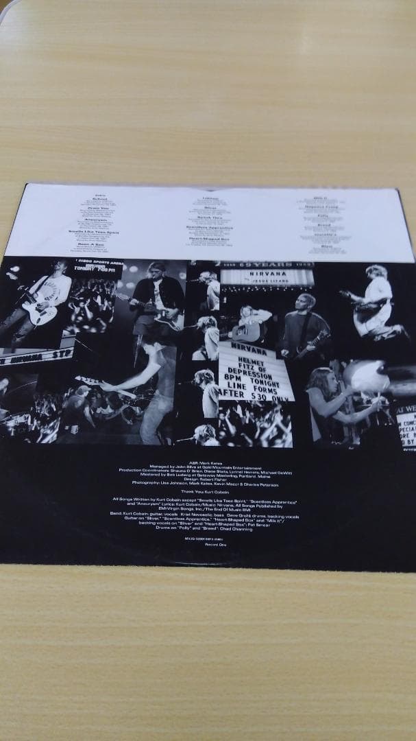 NIRVANA　「FROM THE MUDDY BANKS ～」　アナログ盤
