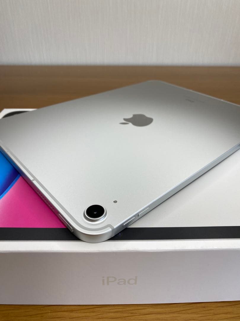 iPad 第10世代　充電91回　SIMフリー　iPad 本体　ABランク