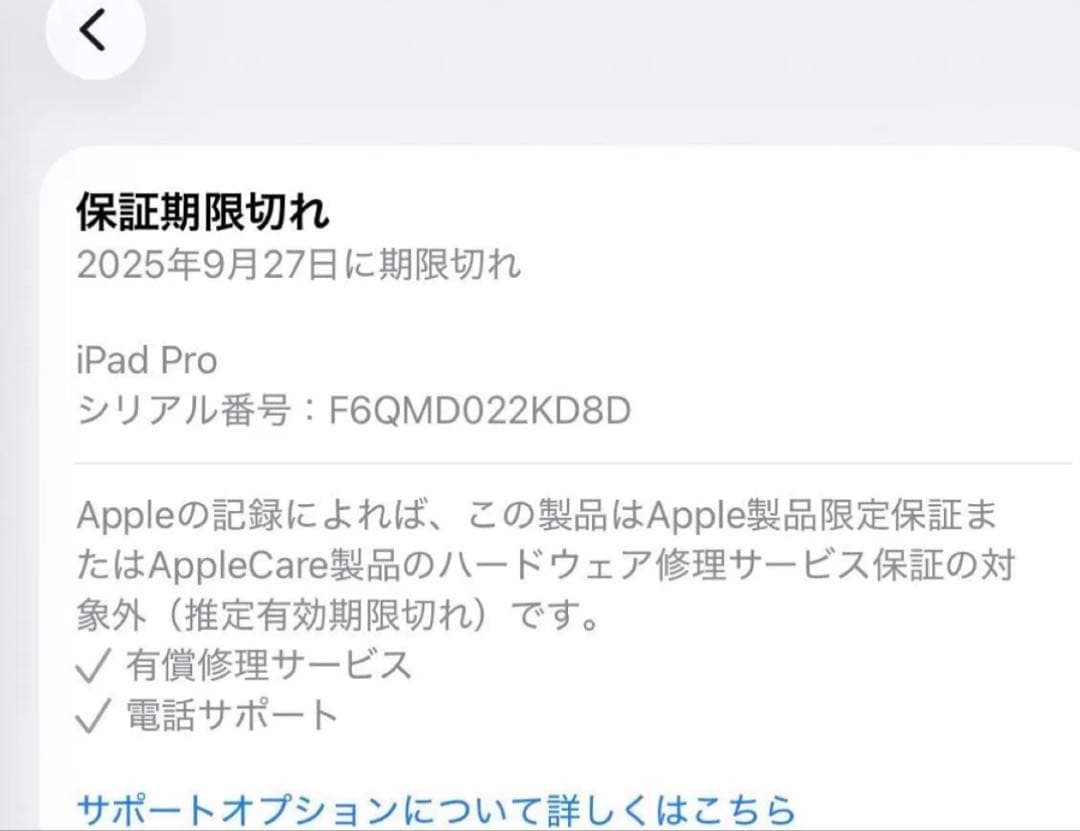 iPad本体 iPadPro 2018 11inch 256GB WiFi Cellular