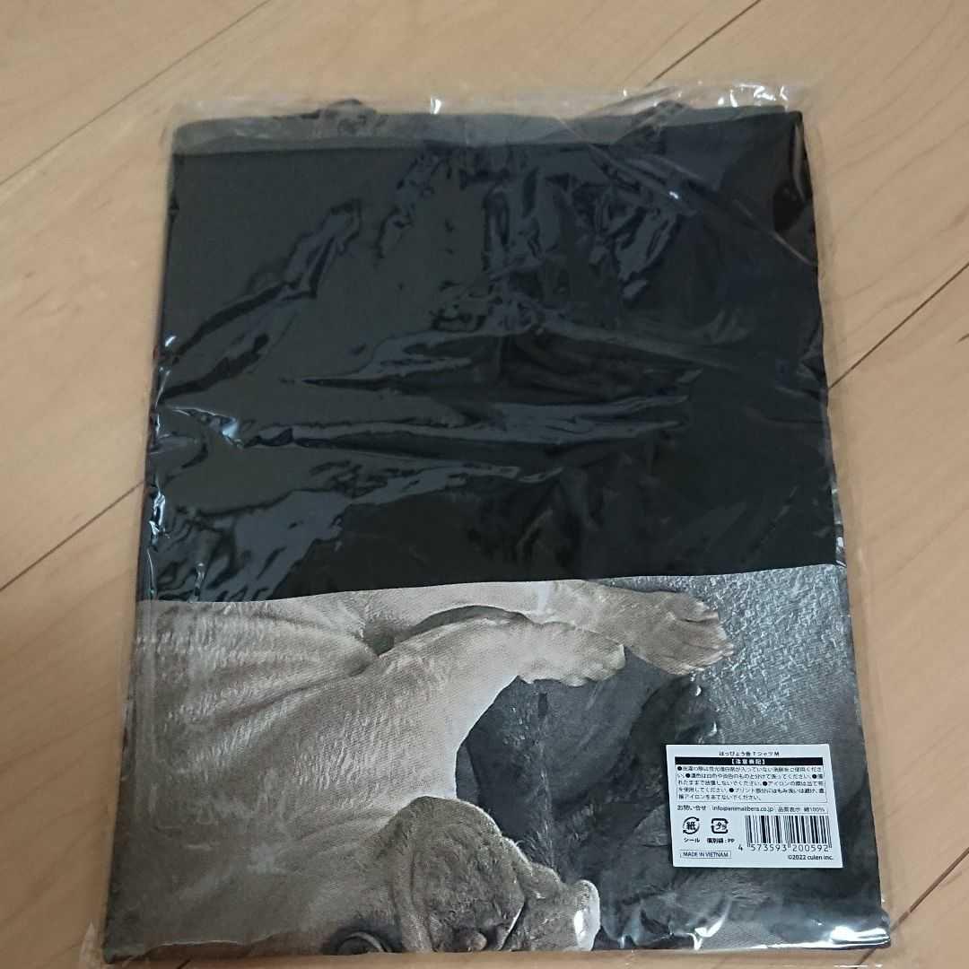 草彅剛 はっぴょう会２ Tシャツ　Mサイズ