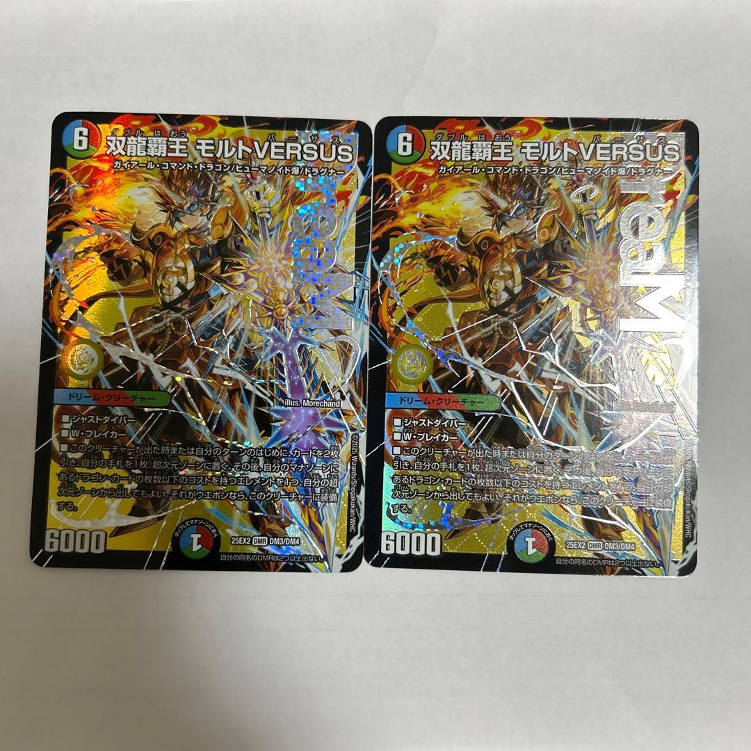 双竜覇王 モルトVERSUS 2枚