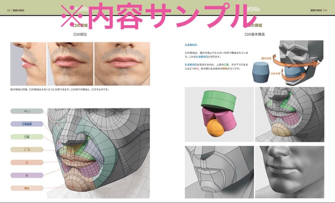 【新品】　スカルプターのための美術解剖学 3 頭頸部編