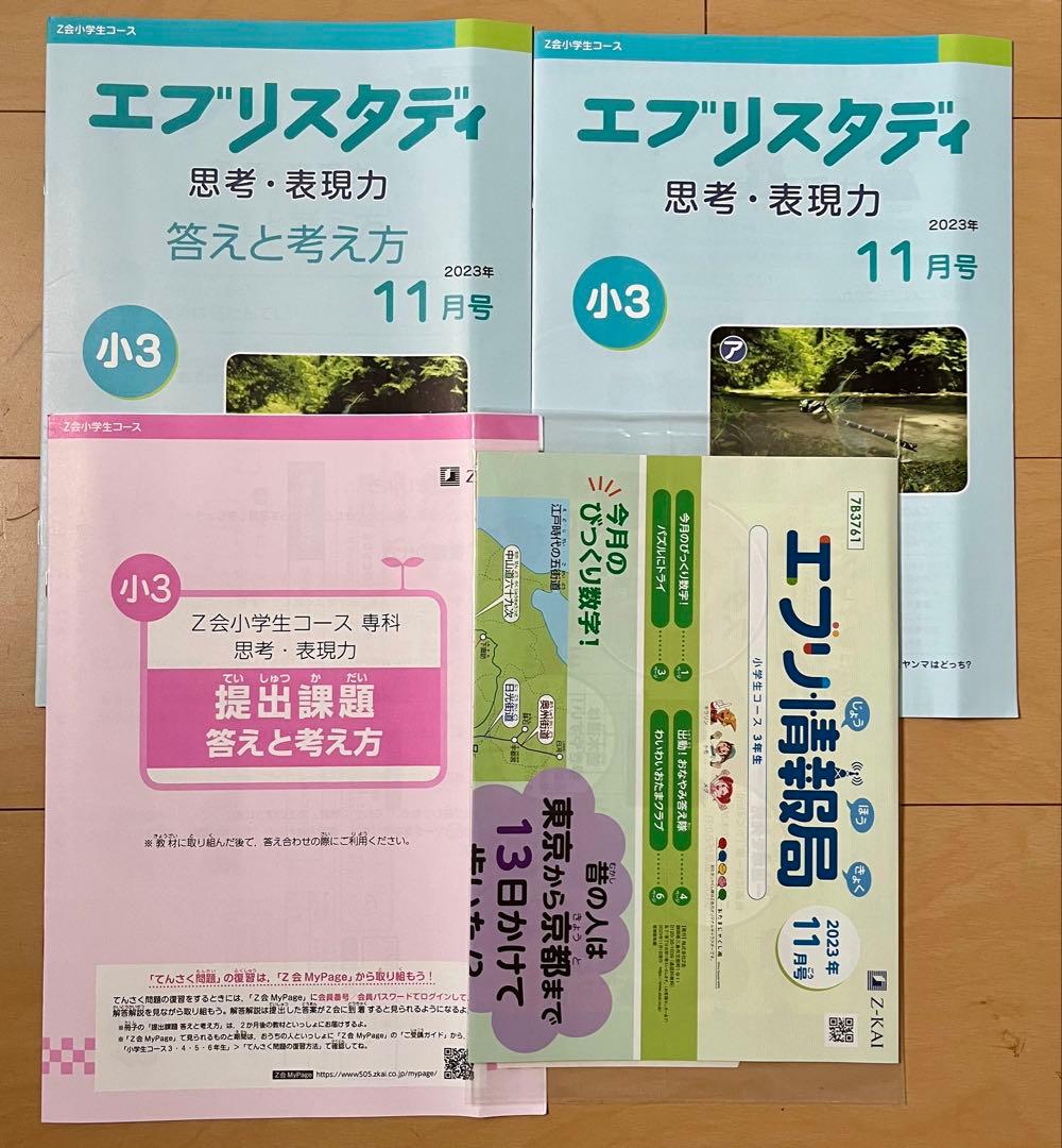 【未記入・未使用】Z会 エブリスタディ 思考・表現力 小3 2023年度 9カ月
