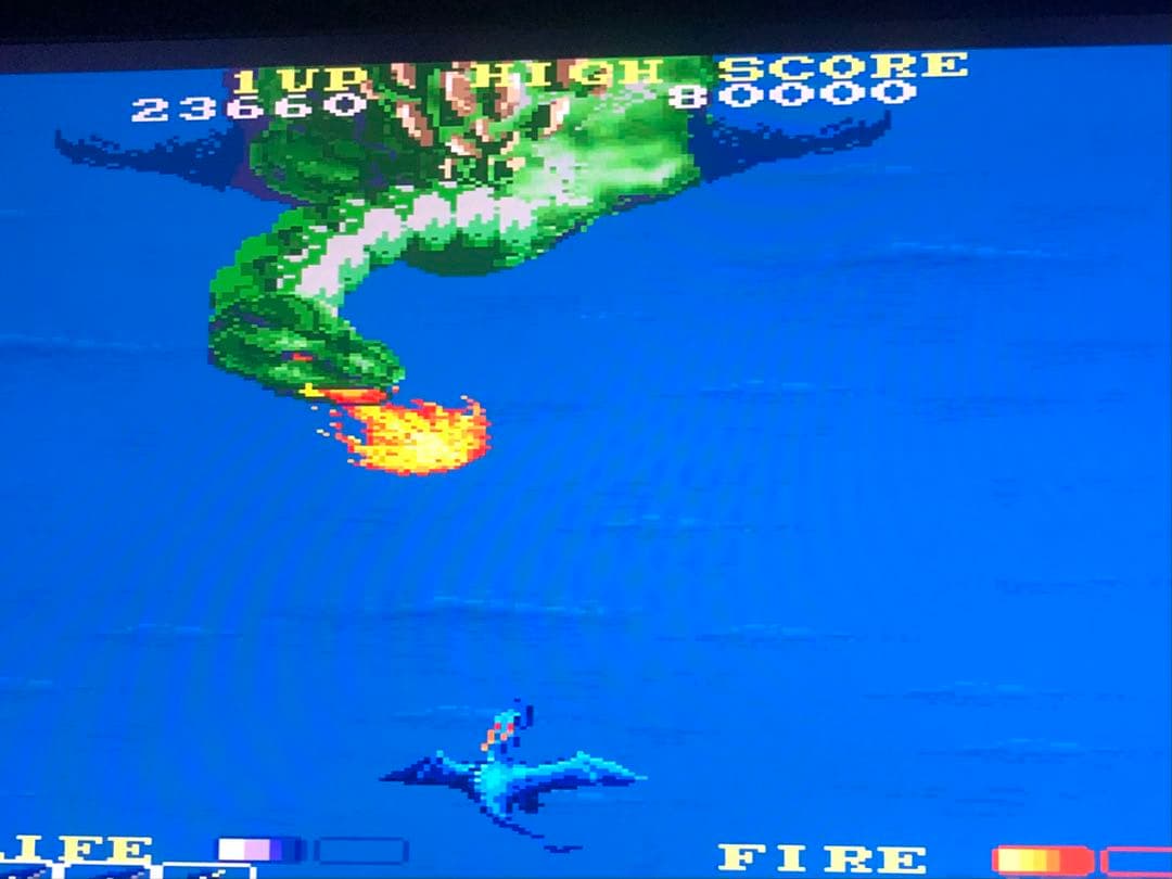 必ず説明文読んでください　DRAGON SPIRIT for X68K