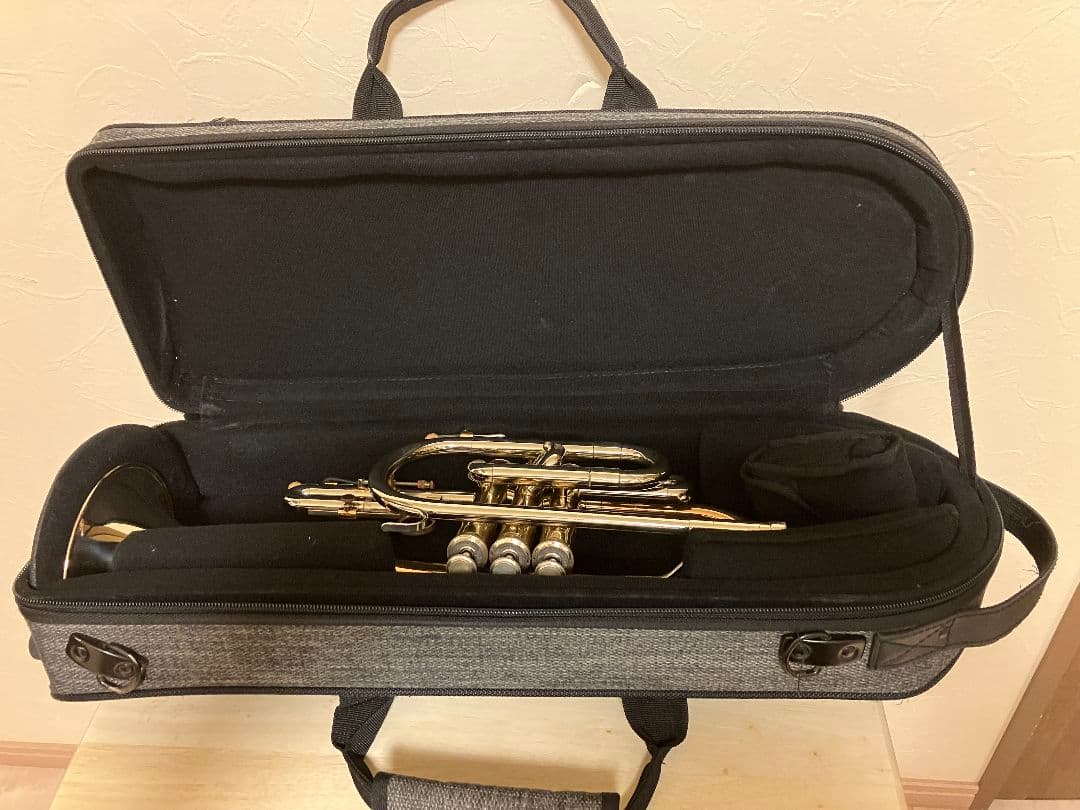 【値下げ】Holton Collegiate ホルトン　カレッジエイト　USA製