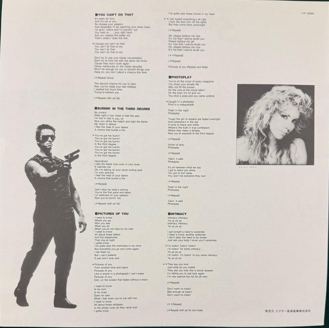 OST ターミネーター　THE TERMINATOR レコード　帯付き盤美品