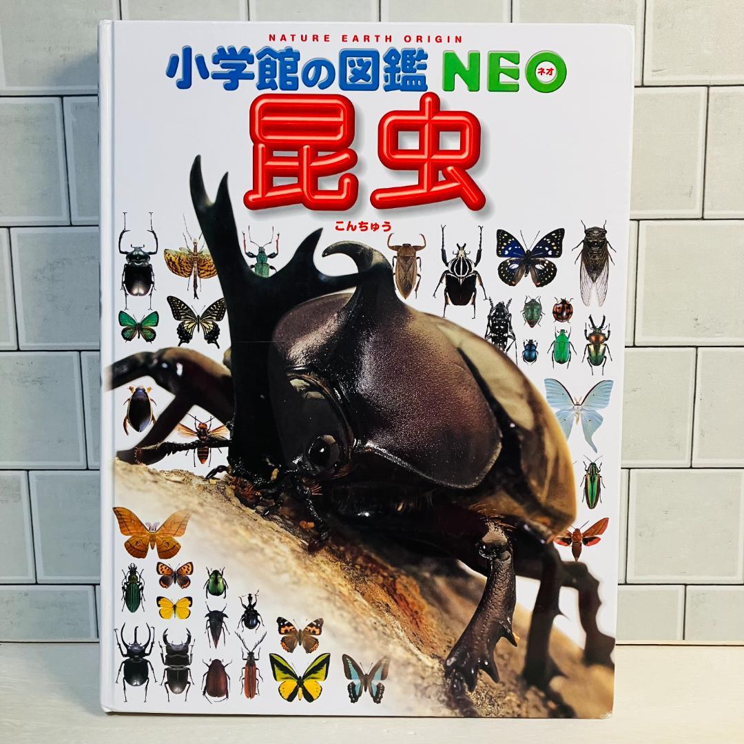 【定番の図鑑】小学館の図鑑NEO7冊セット＋プレNEO3冊セット ふしぎの図鑑他