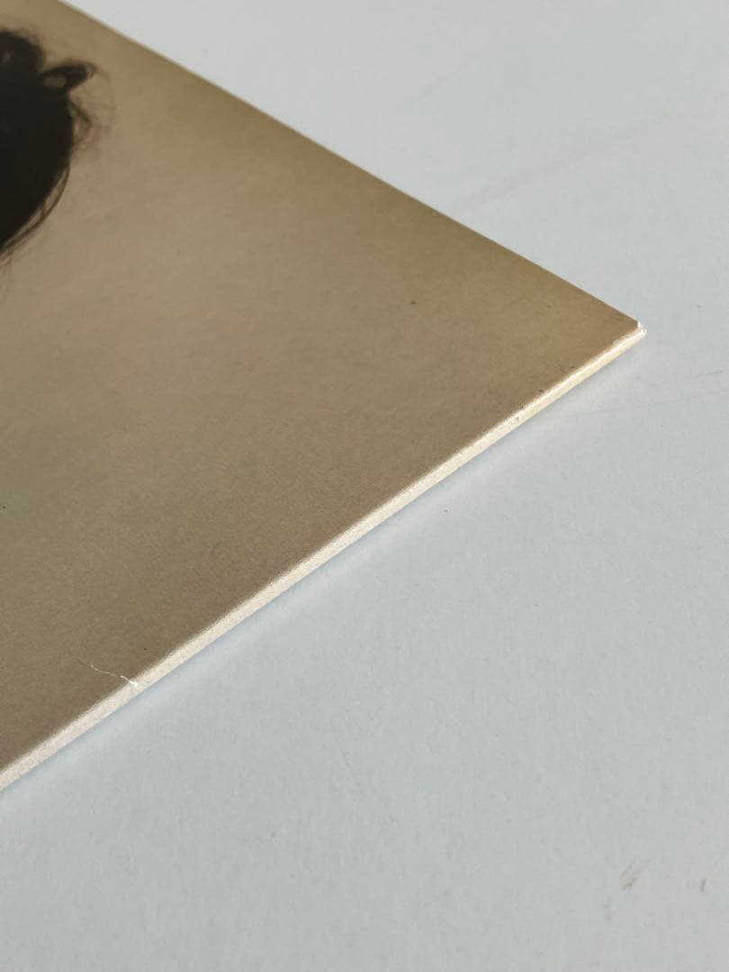 ビョークDebut 12\"LP レコードTPLP31 フランス盤MPO