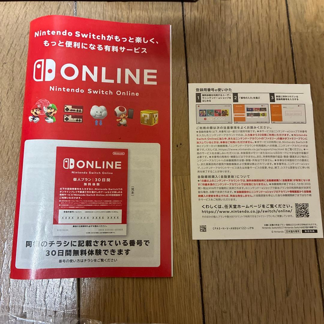 Switchライト　本体