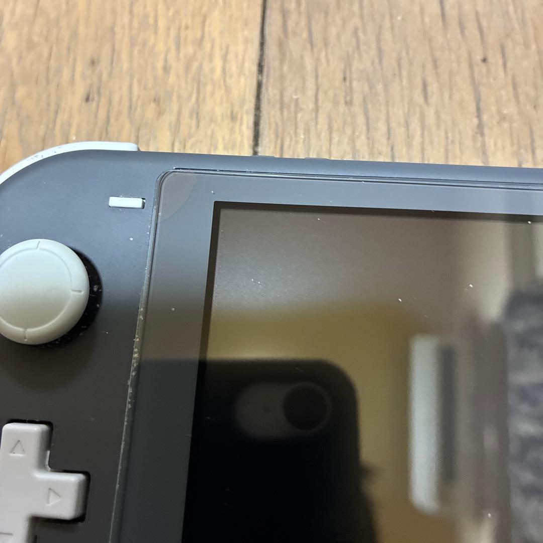 Switchライト　本体