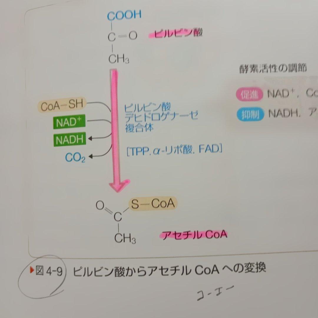 系統看護学 テキスト まとめ売り 39冊 セット 看護師 国家試験 国試 資格