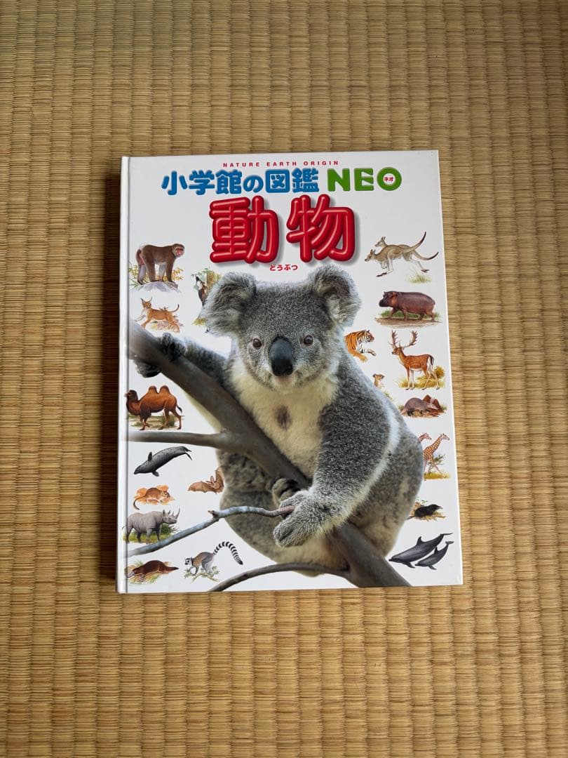 小学館の図鑑neo 12冊セット