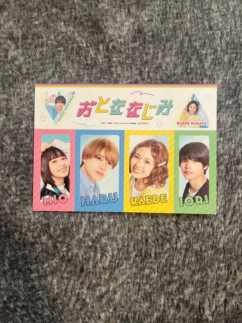 おとななじみ DVD 入場者特典 パンフレット