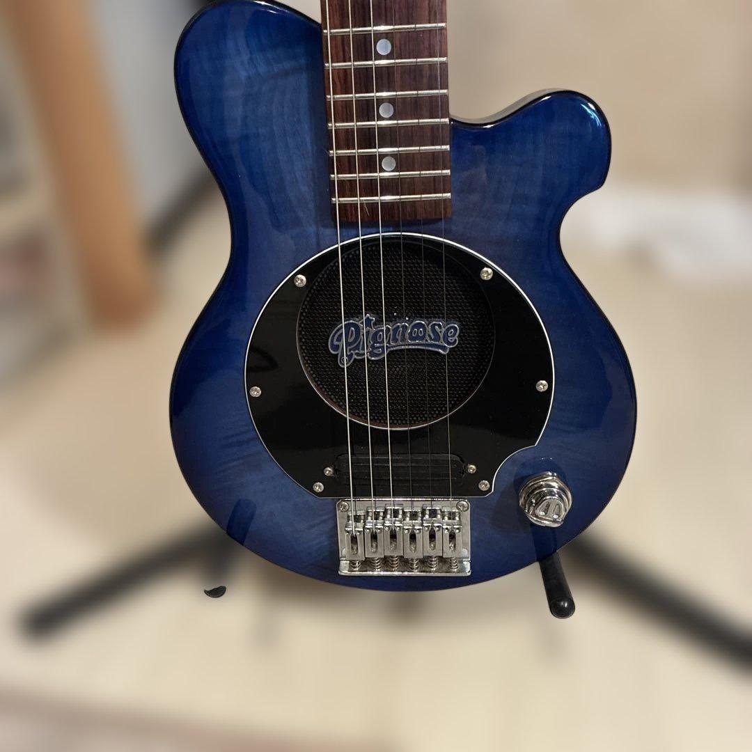ピグノーズPGG200 ブルー