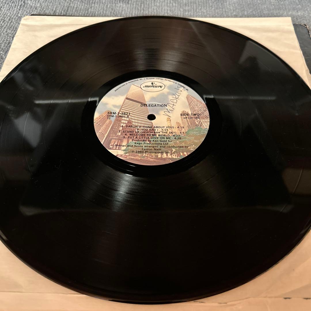 洋楽 Delegation / Delegation LP