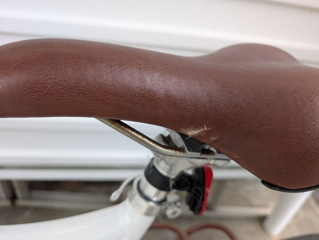 LOUIS GARNEAU ルイガノ EASEL7.0 ミニベロ 20インチ