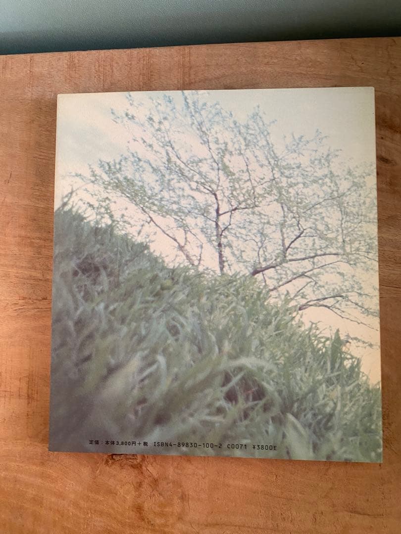【直筆サイン入】沢渡朔 写真集『60's 2』Hajime Sawatari