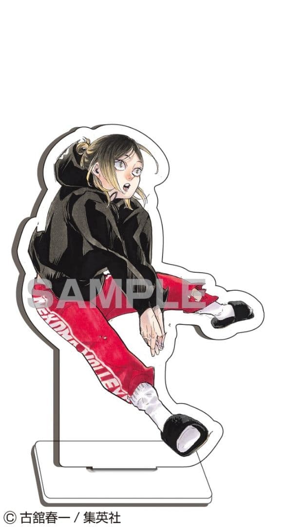 ハイキュー!! 10周年クロニクル　グッズ付き同封版