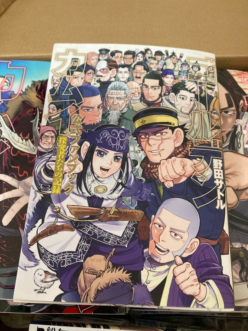 ゴールデンカムイ 漫画　12〜31巻（22巻抜け）と公式ファンブック20冊