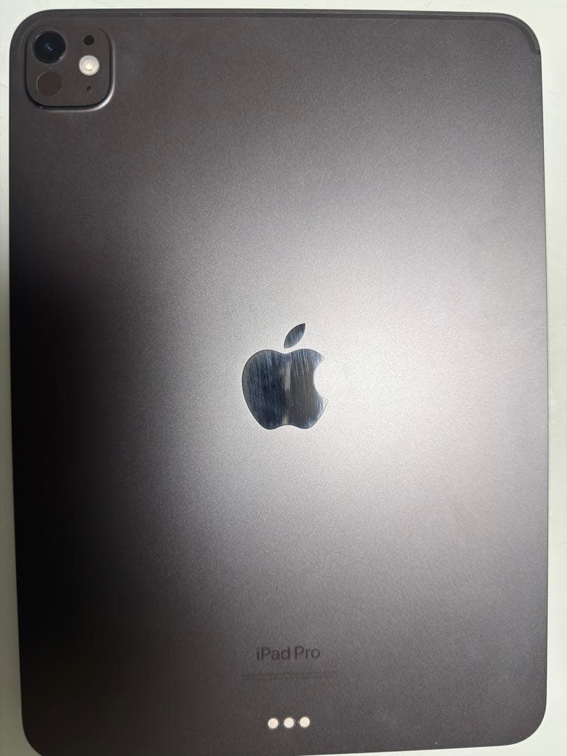 【ジャンク品】 iPadProM4 11インチ 256GB Wi-Fiモデル