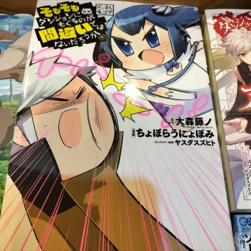 ダンジョンに出会いを求めるのは間違っているだろうか ソードオラトリア 全巻セット