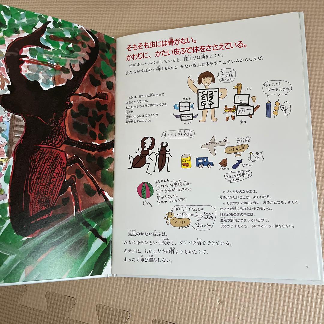 たくさんのふしぎ傑作集12冊セット