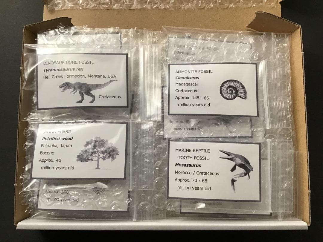 化石 20種 セット [Z663] ティラノサウルス トリケラトプス 三葉虫