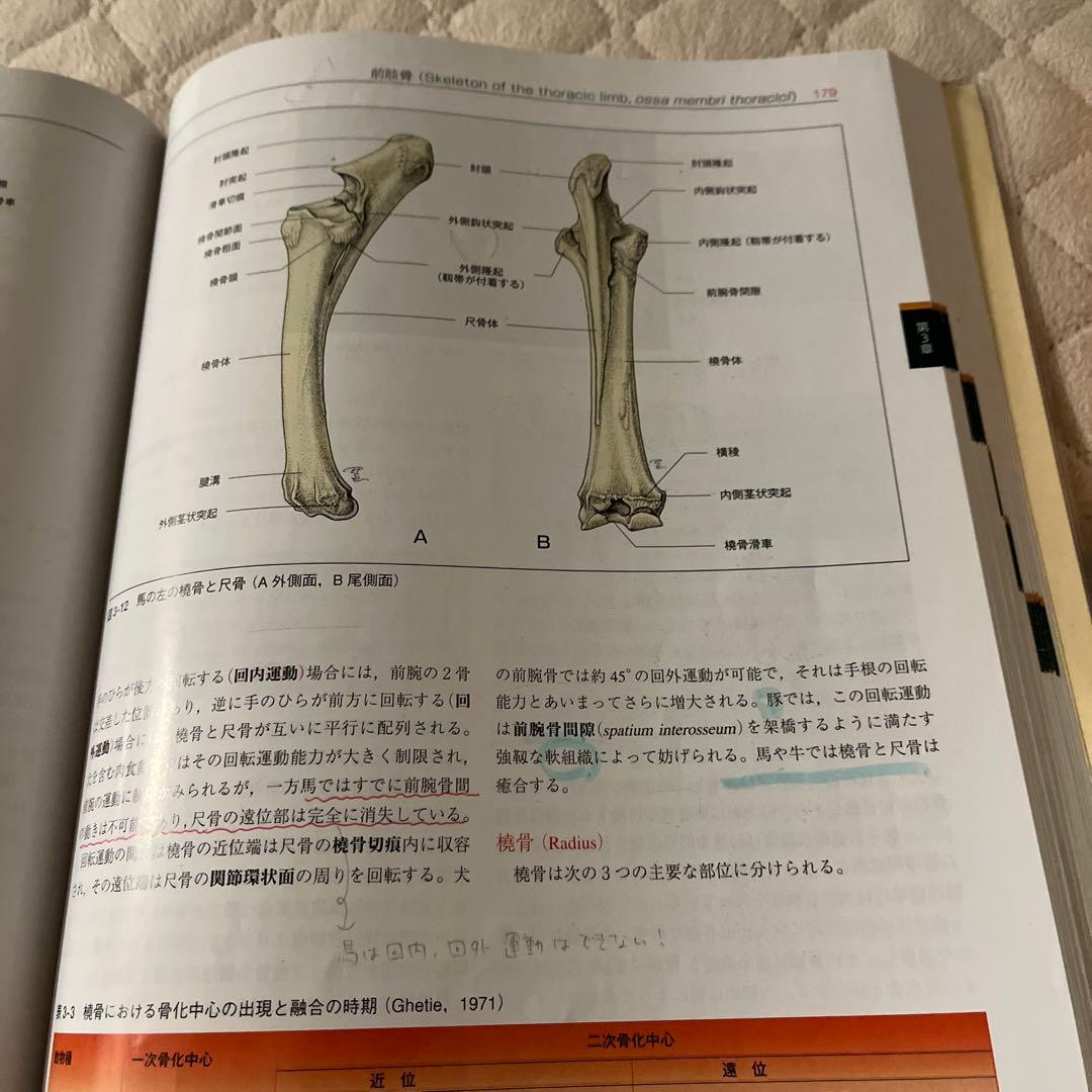 カラーアトラス 獣医解剖学 上下巻セット