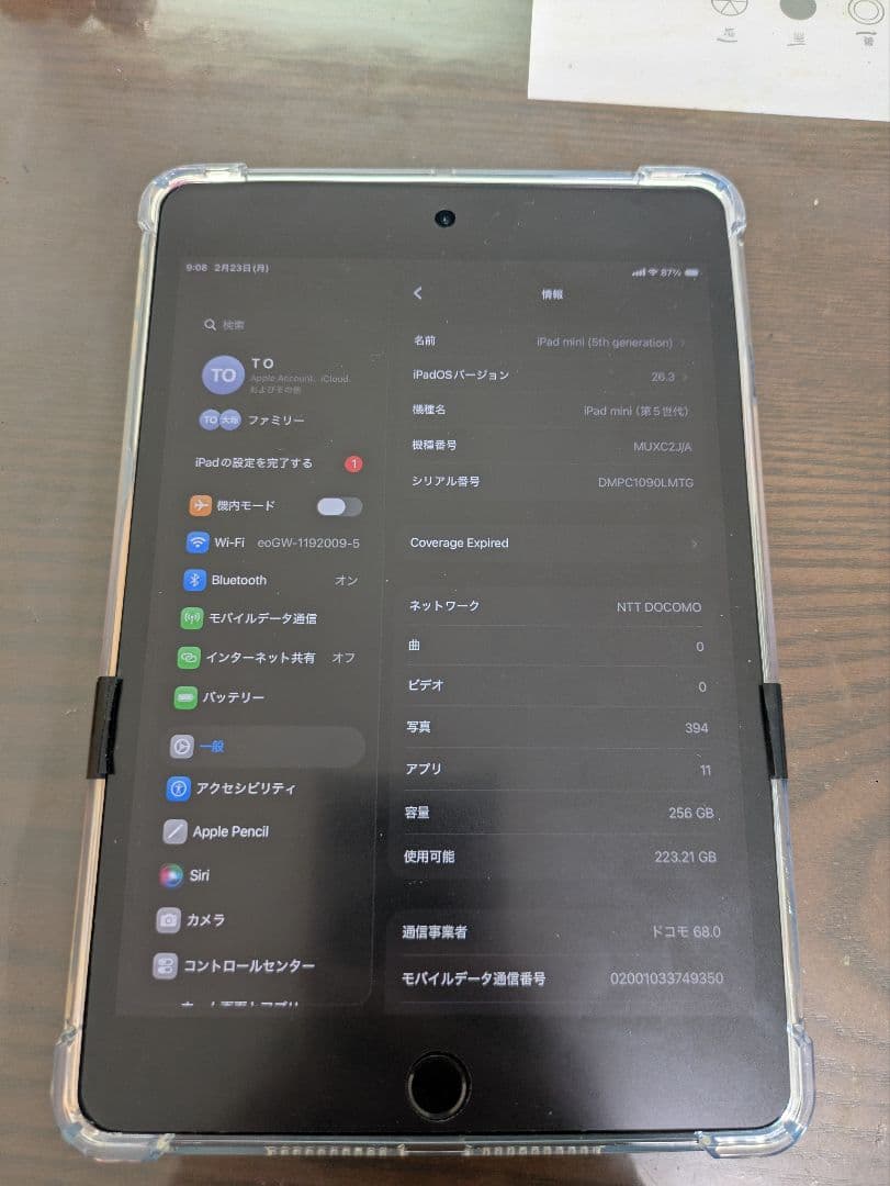 バッテリー100% iPad mini 第5世代 Wi-Fi+Cellular