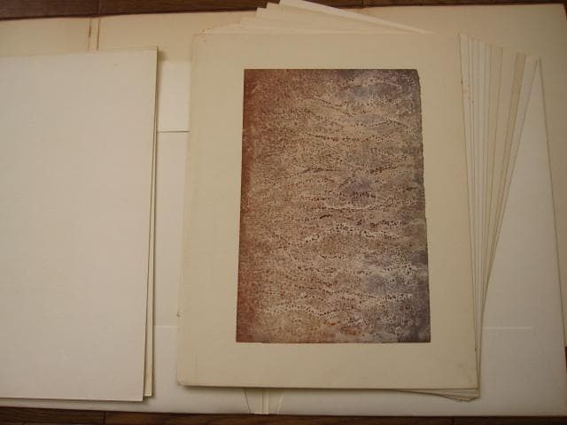 Mark Tobey　マーク・トビー　ポートフォリオ 12枚