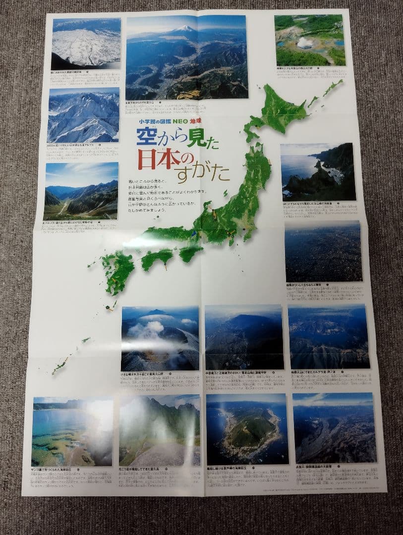 小学館の図鑑NEOシリーズ　12冊セット(1冊DVD付)