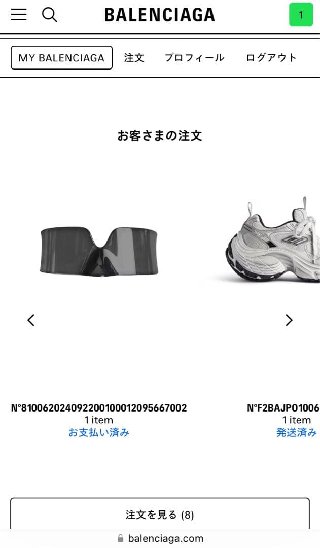 BALENCIAGA 5G サングラス