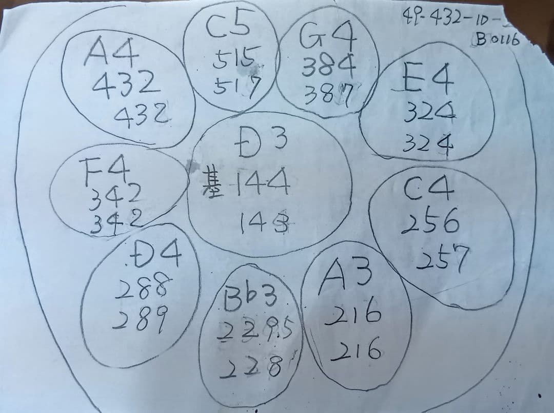 ぺんぎん　ハンドパン　49センチ　10音　Dマイナー　A＝432Hz