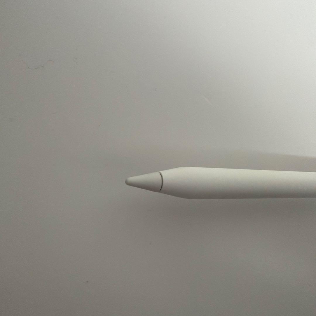 アップルペンシル Apple Pencil 【usb-c】