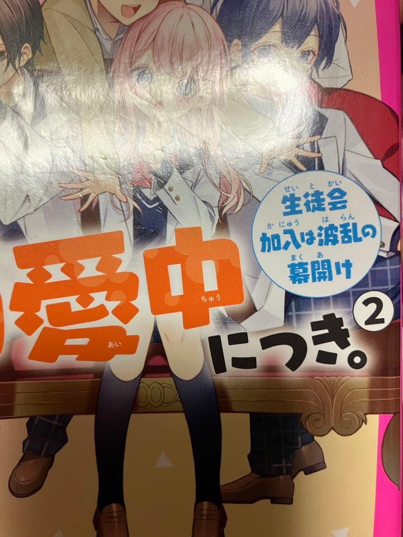 総長さまは溺愛中につき　1〜14 吸血鬼と薔薇少女　1〜5 他　4冊　セット