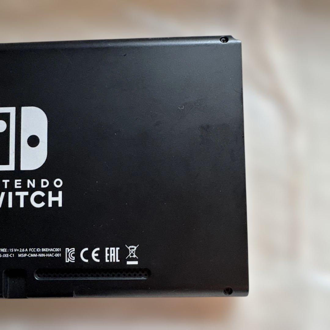 Nintendo Switch 本体　コントローラー色違い
