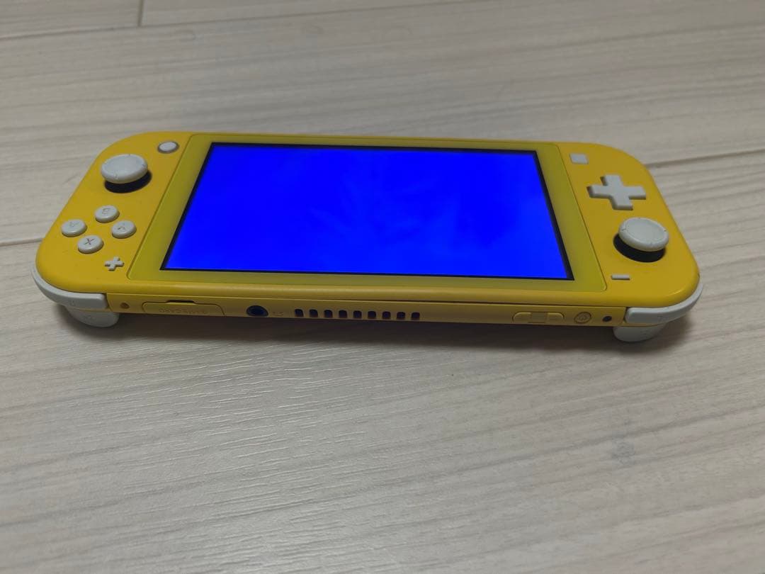 Nintendo Switch Lite 本体 ジャンク